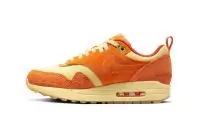 nike air max 1 homme soldes somos familia dz5352-847